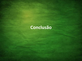 Conclusão