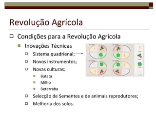 Revolução Agrícola Condições para a Revolução Agrícola Inovações Técnicas Sistema quadrienal;  Novos instrumentos; Novas culturas: Batata Milho Beterraba Selecção de Sementes e de animais reprodutores; Melhoria dos solos. 