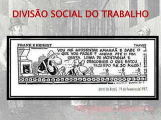 DIVISÃO SOCIAL DO TRABALHO
 