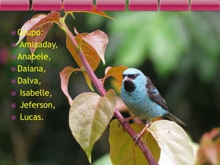  Grupo:
 Amizaday,
 Anabele,
 Daiana,
 Dalva,
 Isabelle,
 Jeferson,
 Lucas.
 
