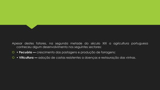 Apesar destes fatores, na segunda metade do século XIX a agricultura portuguesa
conheceu algum desenvolvimento nos seguintes sectores:
 • Pecuária — crescimento das pastagens e produção de forragens;
 • Viticultura — adoção de castas resistentes a doenças e restauração das vinhas.

 