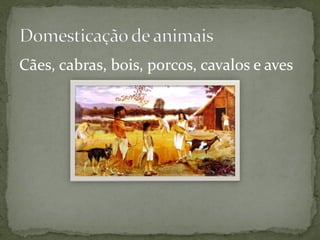Cães, cabras, bois, porcos, cavalos e aves
 