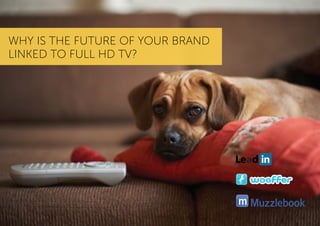 WHY IS THE FUTURE OF YOUR BRAND
LINKED TO FULL HD TV?
m
 