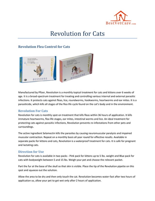Revolution for cats PDF