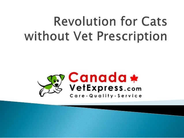 revolution plus for cats without vet prescription