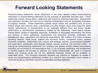 Investment Highlights
•   TSX:RV
•   Two large district-scale property
    portfolios
     • Champion Hills, North Carolina
     • Universo and La Bufa properties,
        Mexico
•   Capital resources on hand to advance
    both property portfolios                               Champion Hills

•   Directed by a management and             Universo & La Bufa
    technical team with previous take over
    experience; most recently Underworld
    Resources




                                                                            3
 