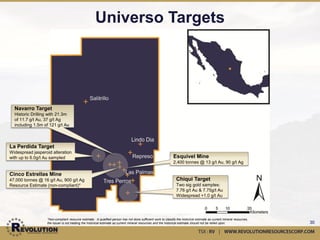 La Bufa




          *Resource and reserve estimates taken from
                  company websites as of April 2012    30
 