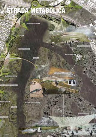 STRADA METABOLICA
 
