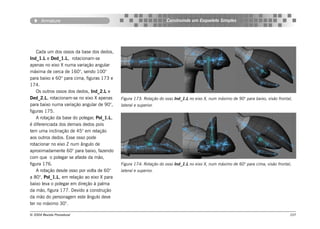 Armature                                                      Construindo um Esqueleto Simples




    Cada um dos ossos da base dos dedos,
Ind_1.L e Ded_1.L, rotacionam-se
apenas no eixo X numa variação angular
máxima de cerca de 160°, sendo 100°
para baixo e 60° para cima, figuras 173 e
174.
    Os outros ossos dos dedos, Ind_2.L e
Ded_2.L, rotacionam-se no eixo X apenas      Figura 173: Rotação do osso Ind_1.L no eixo X, num máximo de 90° para baixo, visão frontal,
para baixo numa variação angular de 90°,     lateral e superior.
figuras 175.
    A rotação da base do polegar, Pol_1.L,
é diferenciada dos demais dedos pois
tem uma inclinação de 45° em relação
aos outros dedos. Esse osso pode
rotacionar no eixo Z num ângulo de
aproximadamente 60° para baixo, fazendo
com que o polegar se afaste da mão,
figura 176.                                  Figura 174: Rotação do osso Ind_1.L no eixo X, num máximo de 60° para cima, visão frontal,
    A rotação desde osso por volta de 60°    lateral e superior.
a 80°, Pol_1.L, em relação ao eixo X para
baixo leva o polegar em direção à palma
da mão, figura 177. Devido a construção
da mão do personagem este ângulo deve
ter no máximo 30°.

© 2004 Revista Procedural                                                                                                             107
 