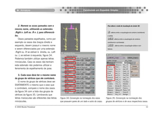 Armature                                                        Construindo um Esqueleto Simples




    2. Nomeie os ossos pareados com o                                                           Para alterar o modo de visualização da Janela 3D:
mesmo nome, utilizando as extensões
.Right e .Left ou .R e .L para diferenciá-                                                       : alterna entre a visualização de contorno (wireframe)
los.                                                                                            e sólida.
    Ossos pareados espelhados, como por                                                          : alterna entre a visualização de contorno
exemplo os ossos dos braços direito e                                                           (wireframe) e sombreada.
esquerdo, devem possuir o mesmo nome                                                             :        alterna entre a visualização sólida e com
e serem diferenciados por uma extensão                                                          textura.
.Right ou .R se estiver à direita, ou .Left
ou .L se estiver à esquerda, figura 34.
Podemos também utilizar apenas letras
minúsculas. Caso os ossos não tenham
esta extensão não podemos utilizar a
ferramenta de espelhamento de pose.

    3. Cada osso deve ter o mesmo nome
do grupo de vértices que ele controlará.
    O nome do grupo de vértices deve ser
EXATAMENTE o mesmo que o osso que
o controlará, compare o nome dos ossos
da figura 34 com a lista dos grupos de
vértices da figura 35. Lembrando que
letras maiúsculas são diferentes das letras   Figura 34: Convenção na nomeação dos ossos       Figura 35: Convenção na nomeação dos
minúsculas.                                   que possuem pares de um lado e outro do corpo.   grupos de vértices e de seus respectivos ossos.

© 2004 Revista Procedural                                                                                                                                  53
 