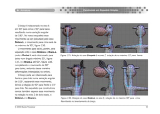 Armature                                                   Construindo um Esqueleto Simples




   O braço é rotacionado no eixo X
em 90° para cima e 90° para baixo
resultando numa variação angular
de 180°. No nosso esqueleto esse
movimento vai ser executado pelo osso
Ombro.L, o movimento para cima será de
no máximo de 90°, figura 136.
   O movimento para baixo, porém, será
separado entre o osso Ombro.L e Braco.L,
onde o Ombro.L será rotacionado para       Figura 135: Rotação do osso Escapula.L no eixo Z, rotação de no máximo 10° para frente.
baixo num ângulo máximo 30°, figura
137, e o Braco.L até 60°, figura 138,
completando o movimento de 90°
para baixo, evitando dessa maneira
deformações indesejadas no ombro.
   O braço pode ser rotacionado para
frente e para trás numa variação angular
de 105°, separando esse movimento,
temos a rotação de 90° para frente e 15°
para trás. No esqueleto que construímos
vamos também separar esse movimento
na rotação no eixo Z de dois ossos, o
Ombro.L e o Braco.L.                       Figura 136: Rotação do osso Ombro.L no eixo X, rotação de no máximo 90° para cima.
                                           Resultando no levantamento do braço.

© 2004 Revista Procedural                                                                                                            94
 
