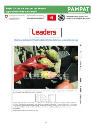 41
http://www.leaders.com.tn/article/21225-hindi-la-figue-de-barbarie-un-concentre-d-energie
 