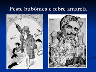 Peste bubônica e febre amarela 