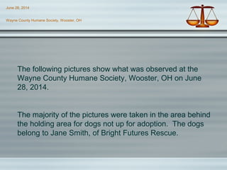June 28, 2014
Wayne County Humane Society, Wooster, OH
The following pictures show what was observed at the
Wayne County Humane Society, Wooster, OH on June
28, 2014.
The majority of the pictures were taken in the area behind
the holding area for dogs not up for adoption. The dogs
belong to Jane Smith, of Bright Futures Rescue.
 
