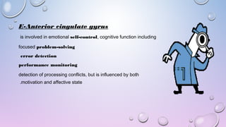 E-Anterior cingulate gyrus
is involved in emotional self-control, cognitive function including
focused problem-solving
error detection
performance monitoring
detection of processing conflicts, but is influenced by both
motivation and affective state.
 