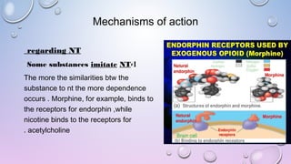 Mechanisms of action
regarding NT
1-Some substances imitate NT
The more the similarities btw the
substance to nt the more dependence
occurs . Morphine, for example, binds to
the receptors for endorphin ,while
nicotine binds to the receptors for
acetylcholine.
 