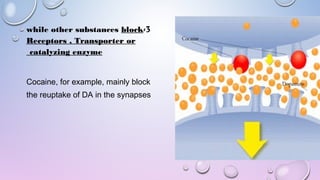 3-while other substances block
Receptors , Transporter or
catalyzing enzyme
Cocaine, for example, mainly block
the reuptake of DA in the synapses
 