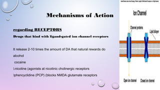 Mechanisms of Action
regarding RECEPTORS
Drugs that bind with ligand-gated ion channel receptors
It release 2-10 times the amount of DA that natural rewards do  
alcohol
cocaine
nicotine (agonists at nicotinic cholinergic receptors(.
phencyclidine (PCP) (blocks NMDA glutamate receptors(
 