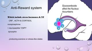 Anti-Reward system
Which include stress hormones & NT
CRF , ACTH & CORTISOL
norepinephrine
neuropeptide Y(NPY(
dynorphin
producing aversive or stress-like states.
 