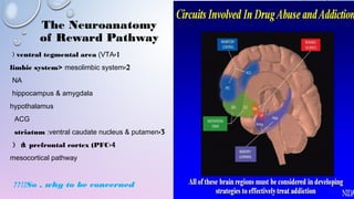 The Neuroanatomy
of Reward Pathway
1-ventral tegmental area (VTA( 
2-limbic system> mesolimbic system
NA
hippocampus & amygdala
hypothalamus
ACG
3-striatum :ventral caudate nucleus & putamen
4-prefrontal cortex (PFC(  <
mesocortical pathway
So , why to be concerned??!!
 