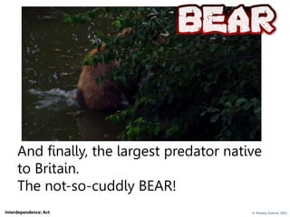 rewilding - protecting biodiversity and ecosystems.pptx