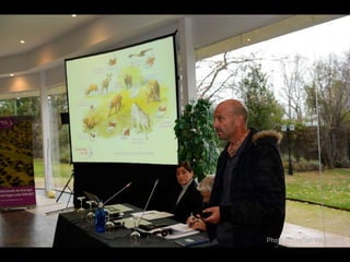 Making Spain a Wilder Place