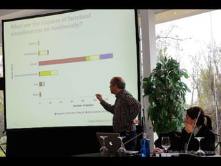 Making Spain a Wilder Place