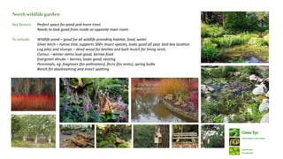 Rewilding Project Rewilding Project | PPTX