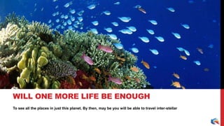 To see all the places in just this planet. By then, may be you will be able to travel inter-stellar
WILL ONE MORE LIFE BE ENOUGH
 