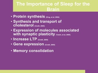 The Importance of Sleep for the Brain Protein synthesis   (Ding, et al, 2004) Synthesis and transport of cholesterol   (Cirelli, 2005) Expression of molecules associated with synaptic plasticity   (Taishi, et al, 2005) Increase LTP   (Cirelli, 2005) Gene expression   (Cirelli, 2005) Memory consolidation 