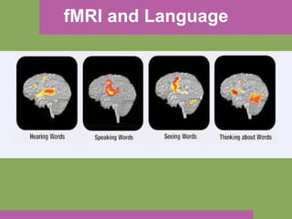 fMRI and Language 