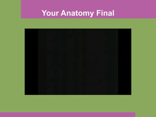 Your Anatomy Final 