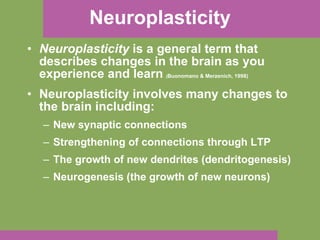 Neuroplasticity Neuroplasticity  is a general term that describes changes in the brain as you experience and learn   ( Buonomano & Merzenich, 1998) Neuroplasticity involves many changes to the brain including: New synaptic connections Strengthening of connections through LTP The growth of new dendrites (dendritogenesis) Neurogenesis (the growth of new neurons) 