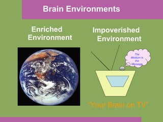 Brain Environments Enriched Environment Impoverished Environment The Medium is the Message “ Your Brain on TV” 