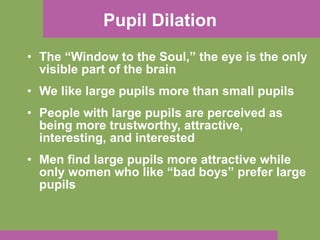 Pupil Dilation The “Window to the Soul,” the eye is the only visible part of the brain We like large pupils more than small pupils People with large pupils are perceived as being more trustworthy, attractive, interesting, and interested Men find large pupils more attractive while only women who like “bad boys” prefer large pupils 