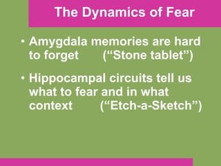 The Dynamics of Fear Amygdala memories are hard to forget  (“Stone tablet”) Hippocampal circuits tell us what to fear and in what context  (“Etch-a-Sketch”) 