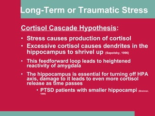 Long-Term or Traumatic Stress   Cortisol Cascade Hypothesis : Stress causes production of cortisol Excessive cortisol causes dendrites in the hippocampus to shrivel up   (Sapolsky, 1996) This feedforward loop leads to heightened reactivity of amygdala The hippocampus is essential for turning off HPA axis, damage to it leads to even more cortisol release as time passes PTSD patients with smaller hippocampi  (Bremner, 1999) 