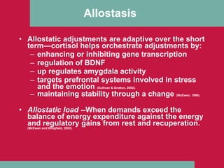 Allostasis   Allostatic adjustments are adaptive over the short term—cortisol helps orchestrate adjustments by:  enhancing or inhibiting gene transcription  regulation of BDNF up regulates amygdala activity targets prefrontal systems involved in stress and the emotion  (Sullivan & Gratton, 2002).   maintaining stability through a change  (McEwen, 1998). Allostatic load  --When demands exceed the balance of energy expenditure against the energy and regulatory gains from rest and recuperation.  (McEwen and Wingfield, 2003) . 