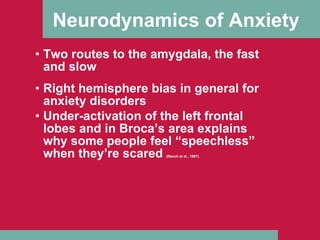 Neurodynamics of Anxiety Two routes to the amygdala, the fast and slow Right hemisphere bias in general for anxiety disorders Under-activation of the left frontal lobes and in Broca’s area explains why some people feel “speechless” when they’re scared  (Rauch et al., 1997). 