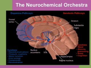 The Neurochemical Orchestra 