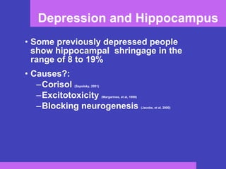 Depression and Hippocampus Some previously depressed people show hippocampal  shringage in the range of 8 to 19%  Causes?: Corisol  (Sapolsky, 2001) Excitotoxicity  (Margarines, et al, 1999) Blocking neurogenesis  (Jacobs, et al, 2000) 