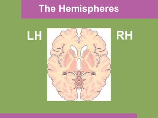 The Hemispheres LH RH 