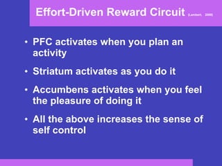 Effort-Driven Reward Circuit  (Lambert,   2008)   PFC activates when you plan an activity  Striatum activates as you do it Accumbens activates when you feel the pleasure of doing it All the above increases the sense of self control 