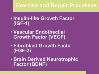 Exercise and Repair Processes Insulin-like Growth Factor (IGF-1) Vascular Endotheclial Growth Factor (VEGF) Fibroblast Growth Facto (FGF-2) Brain Derived Neurotrophic Factor (BDNF) 