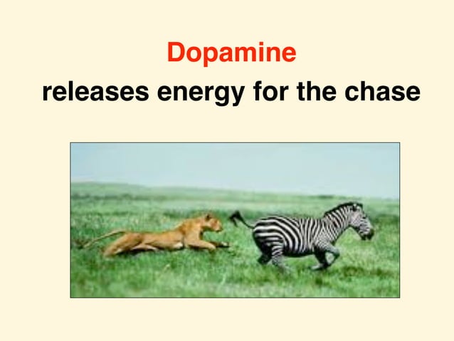 Break the cycle of addiction with these strategies to keep dopamine in ... - Dopamine Loops In Substance Abuse