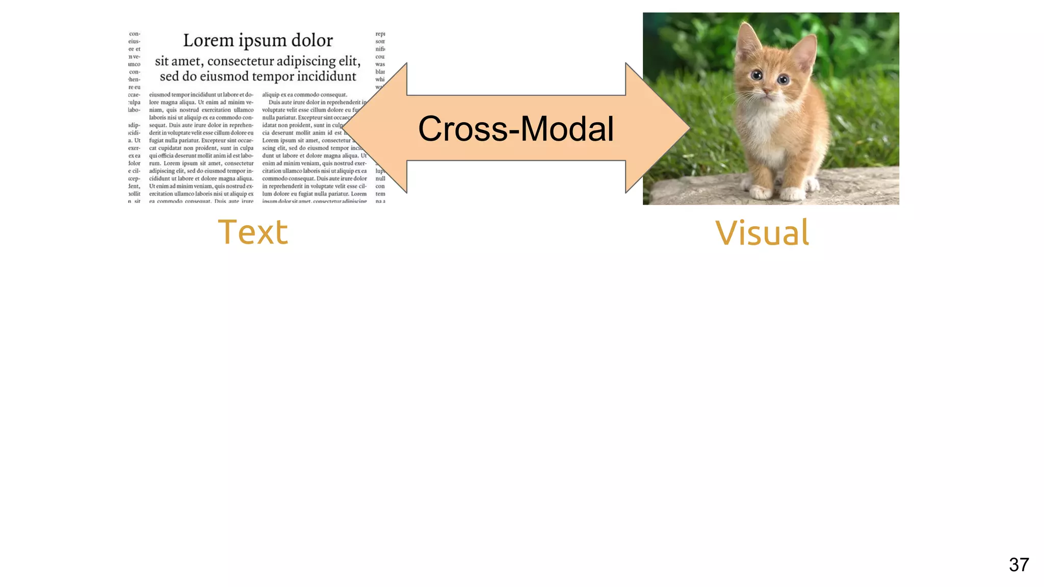 Text
37
Visual
Cross-Modal
 