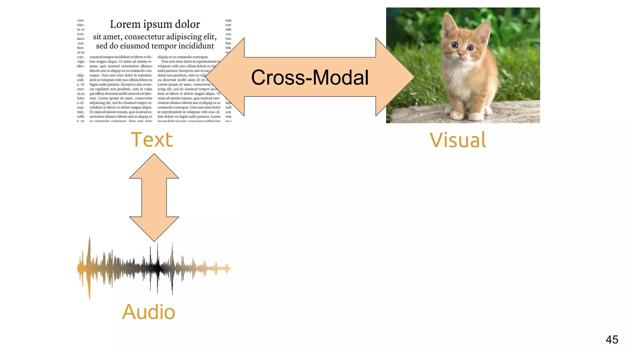 Text
45
Visual
Audio
Cross-Modal
 