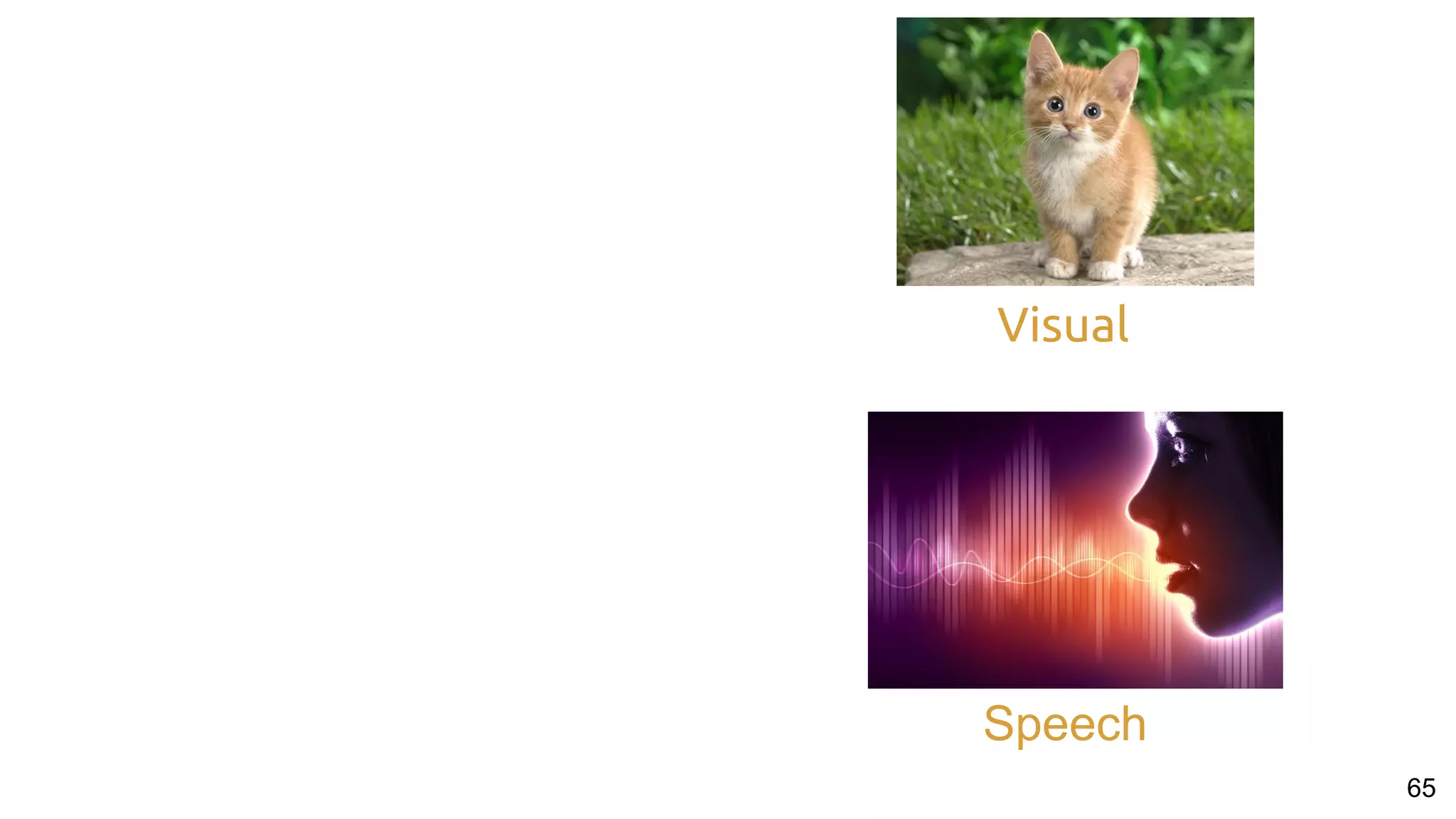 65
Visual
Speech
 