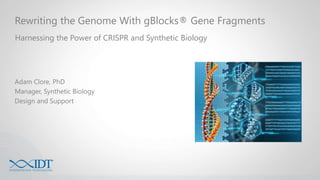 Rewriting the Genome With gBlocks® Gene Fragments
Harnessing the Power of CRISPR and Synthetic Biology
Adam Clore, PhD
Manager, Synthetic Biology
Design and Support
 