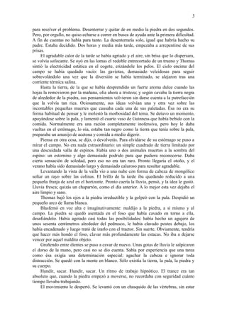3
para resolver el problema. Desenterrar y quitar de en medio la piedra en dos segundos.
Pero, por orgullo, no quiso echarse a correr en busca de ayuda ante la primera dificultad.
A fin de cuentas no había para tanto. La desenterraría solo, igual que habría hecho su
padre. Estaba decidido. Dos horas y media más tarde, empezaba a arrepentirse de sus
prisas.
El agradable calor de la tarde se había agriado y el aire, sin brisa que lo dispersara,
se volvía sofocante. Se oyó en las lomas el redoble entrecortado de un trueno y Thomas
sintió la electricidad estática en el cogote, erizándole los pelos. El cielo encima del
campo se había quedado vacío: las gaviotas, demasiado veleidosas para seguir
sobrevolándolo una vez que la diversión se había terminado, se alejaron tras una
corriente térmica salina.
Hasta la tierra, de la que se había desprendido un fuerte aroma dulce cuando las
hojas la removieron por la mañana, olía ahora a tristeza; y según cavaba la tierra negra
de alrededor de la piedra, sus pensamientos volvieron sin darse cuenta a la putrefacción
que la volvía tan rica. Ociosamente, sus ideas volvían una y otra vez sobre las
incontables pequeñas muertes que causaba cada una de sus paletadas. Ésa no era su
forma habitual de pensar y le molestó la morbosidad del tema. Se detuvo un momento,
apoyándose sobre la pala, y lamentó el cuarto vaso de Guinness que había bebido con la
comida. Normalmente era una ración completamente inofensiva, pero hoy le daba
vueltas en el estómago, lo oía, estaba tan negro como la tierra que tenía sobre la pala,
preparaba un amasijo de acetona y comida a medio digerir.
Piensa en otra cosa, se dijo, o devolverás. Para olvidarse de su estómago se puso a
mirar el campo. No era nada extraordinario: un simple cuadrado de tierra limitado por
una descuidada valla de espinos. Había uno o dos animales muertos a la sombra del
espino: un estornino y algo demasiado podrido para que pudiera reconocerse. Daba
cierta sensación de soledad, pero eso no era tan raro. Pronto llegaría el otoño, y el
verano había sido demasiado largo y demasiado caluroso para resultar agradable.
Levantando la vista de la valla vio a una nube con forma de cabeza de mongólico
soltar un rayo sobre las colinas. El brillo de la tarde iba quedando reducido a una
pequeña franja de azul en el horizonte. Pronto caería la lluvia, pensó, y la idea le gustó.
Lluvia fresca; quizás un chaparrón, como el día anterior. A lo mejor esta vez dejaba el
aire limpio y sano.
Thomas bajó los ojos a la piedra irreductible y la golpeó con la pala. Despidió un
pequeño arco de llama blanca.
Blasfemó en voz alta e imaginativamente: maldijo a la piedra, a sí mismo y al
campo. La piedra se quedó asentada en el foso que había cavado en torno a ella,
desafiándolo. Había agotado casi todas las posibilidades: había hecho un agujero de
unos sesenta centímetros alrededor del pedrusco, le había clavado postes debajo, los
había encadenado y luego trató de izarlo con el tractor. Sin suerte. Obviamente, tendría
que hacer más hondo el foso, clavar más profundamente las estacas. No iba a dejarse
vencer por aquel maldito objeto.
Gruñendo entre dientes se puso a cavar de nuevo. Unas gotas de lluvia le salpicaron
el dorso de la mano, pero casi no se dio cuenta. Sabía por experiencia que una tarea
como ésa exigía una determinación especial: agachar la cabeza e ignorar toda
distracción. Se quedó con la mente en blanco. Sólo existía la tierra, la pala, la piedra y
su cuerpo.
Hundir, sacar. Hundir, sacar. Un ritmo de trabajo hipnótico. El trance era tan
absoluto que, cuando la piedra empezó a moverse, no recordaba con seguridad cuánto
tiempo llevaba trabajando.
El movimiento le despertó. Se levantó con un chasquido de las vértebras, sin estar
 